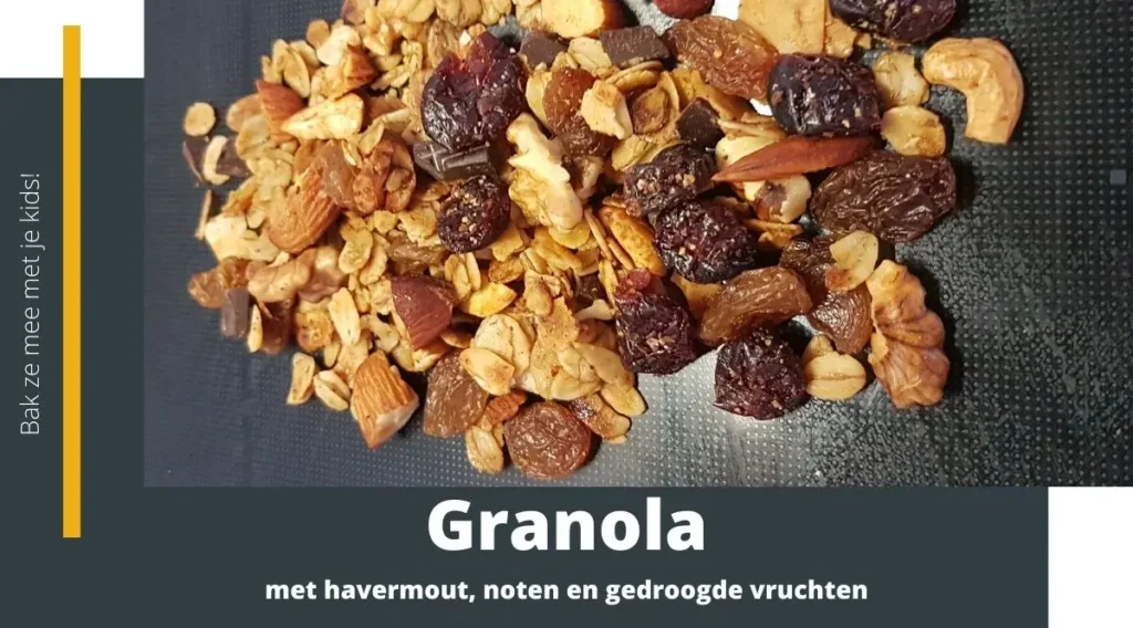 Granola met havermout noten en gedroogde vruchten
