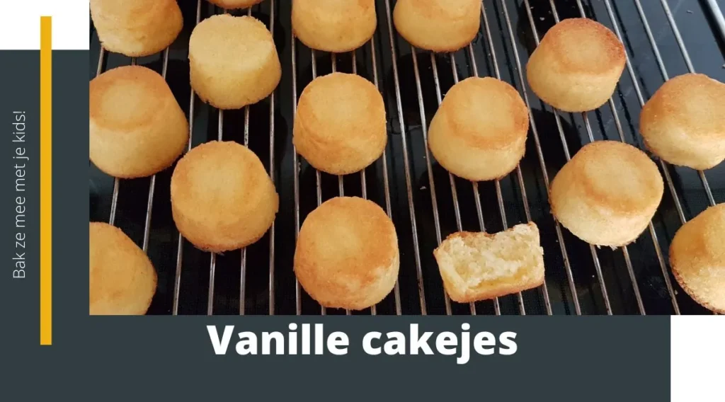 vanillecake of vanille cakejes